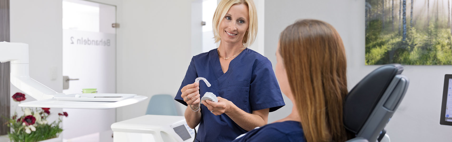 Bleaching, Veneers Zahnarzt Dr. Gradl Neufahrn